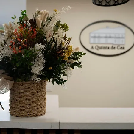 A Quinta De בית הארחה Cea