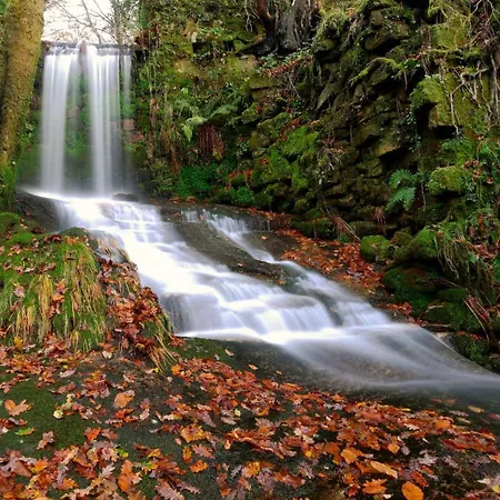 A Quinta De בית הארחה 3*