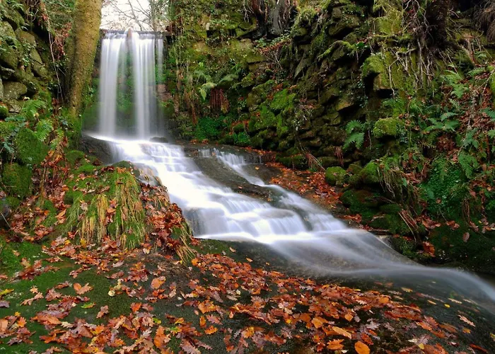 A Quinta De Penzion 3*